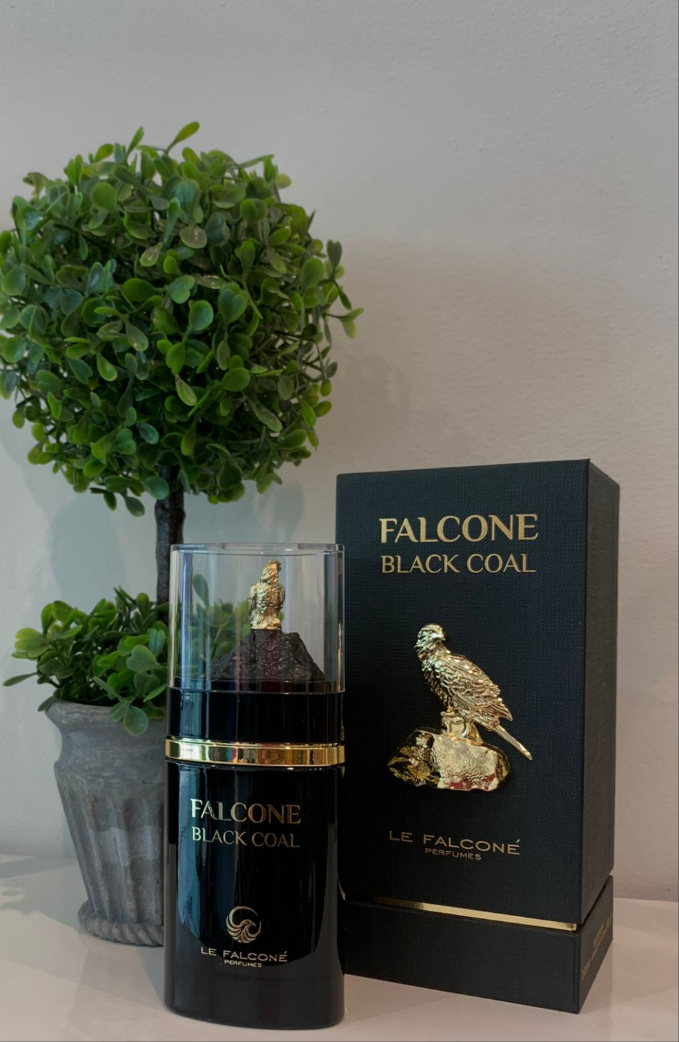 FALCONE BLACK COAL