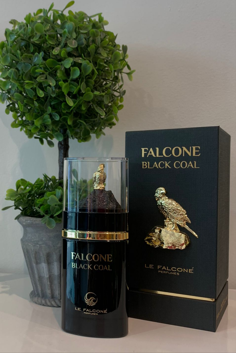 FALCONE BLACK COAL