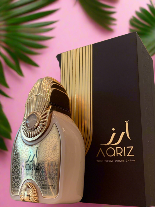 AARIZ - Reveiller Afriq