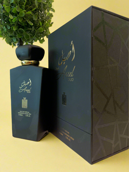 ASSEL OUD - Reveiller Afriq